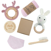 Small Teether Animals Baby Gift Box